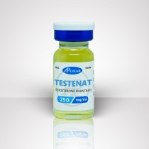 Testosterone Enanthate 250mg/ml - Apoxar