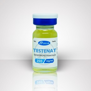 Buy Testosterone Enanthate Apoxar Canada Steroids